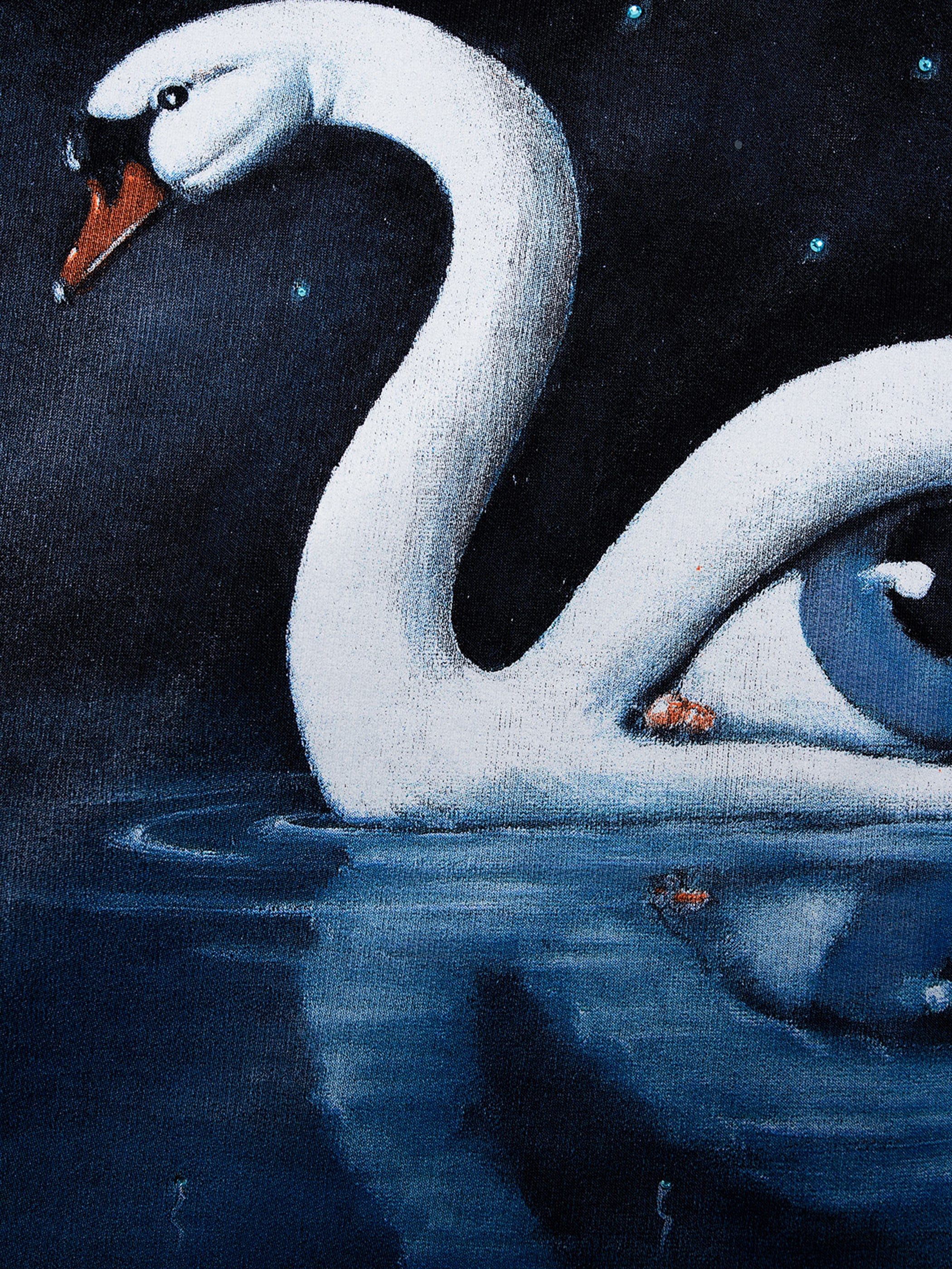 Olbinski Edition Crystal Swan Hoodie